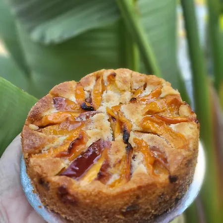 Villalume Alojamento de Acomodação e Pequeno-almoço